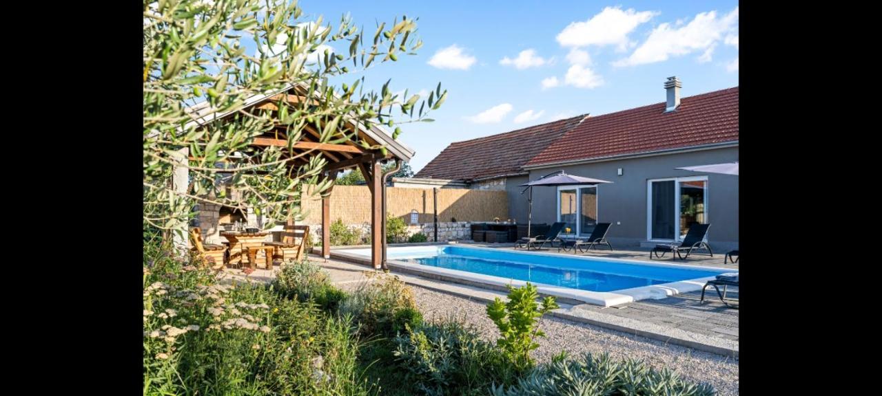 Olive Tree House With Jacuzzi, Wifi And 40M2 Pool Villa Siritovci Eksteriør billede