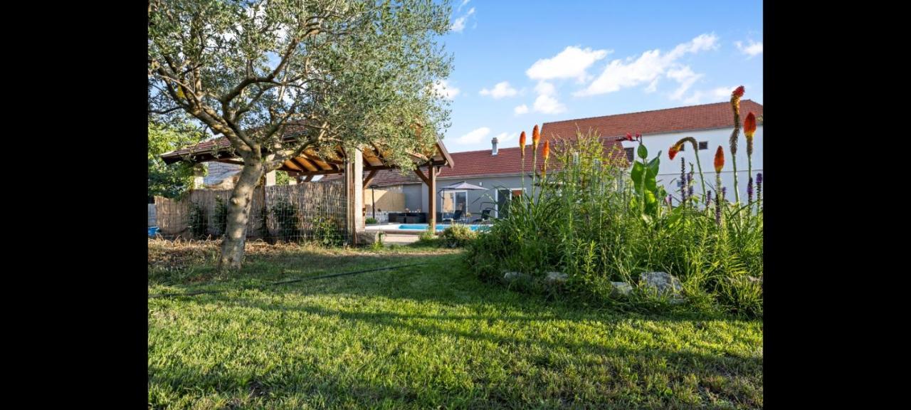 Olive Tree House With Jacuzzi, Wifi And 40M2 Pool Villa Siritovci Eksteriør billede