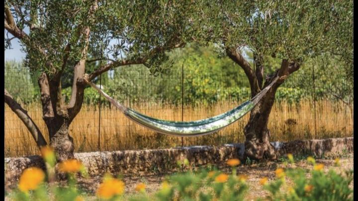 Olive Tree House With Jacuzzi, Wifi And 40M2 Pool Villa Siritovci Eksteriør billede